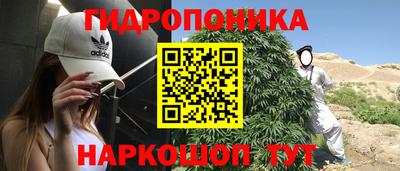 винт Гай
