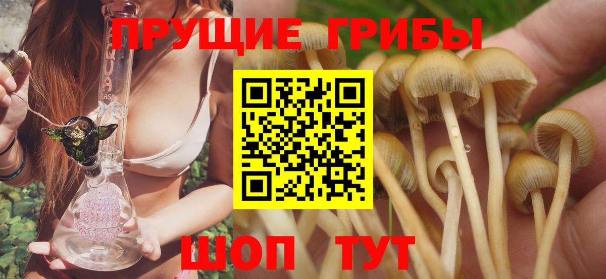 Галлюциногенные грибы мухоморы  Галлюциногенные грибы прущие грибы  Вход с VPN  Минусинск 